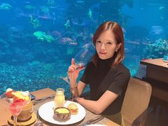 -海棠湾洲际-涛·海底餐厅·美人鱼·自助餐·海底隧道