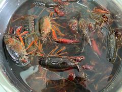 -王四营海鲜市场