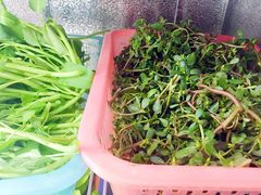 野菜-品品野菜铜火锅(文汇路店)