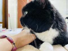 -美联众合动物医院·24h转诊中心