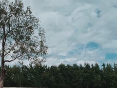 -塞尔夫岛