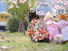 -藏猫猫咖啡主题馆(中央大道店)