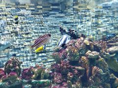 -秦皇岛新澳海底世界