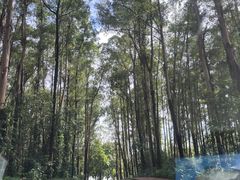 -南国桃园旅游度假区