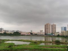-立新湖公园