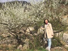 -武汉姚家山旅游景区