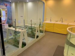 -沫奇婴幼儿水育馆(青山湖万达店)