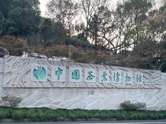 -中国茶叶博物馆(双峰馆区)
