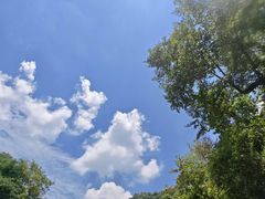 -青城两河漂流