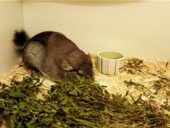 -龙猫仔乐园(惠福东路店)