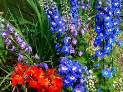 -人民公园(罗湖区)