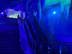 -石家庄海洋公园