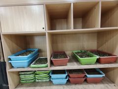 -东椰·海南椰子鸡火锅(朝阳门店)