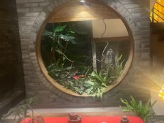 -青藤茶馆(南山路店)