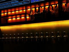 -麦落精酿啤酒餐吧(先农大院店)