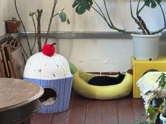 -春风十里咖啡馆