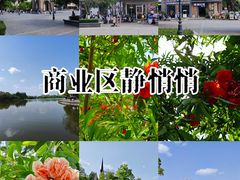 -成都南湖公园