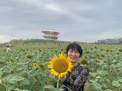 -光明小镇欢乐田园