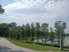 -顺峰山公园