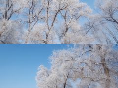 -雾凇岛
