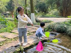-重庆彩云湖湿地公园
