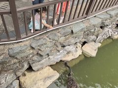 -珠海圆明新园