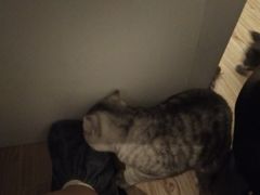 -牛牛章·鱼水煎肉(掇刀万达店)