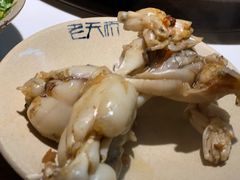 -老天桥蛙炉火锅(姑苏总店)