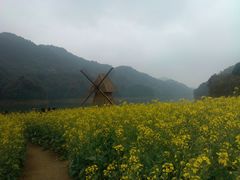 -广州市石门国家森林公园
