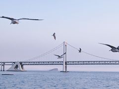 -星海广场
