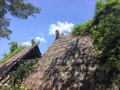 -焦岗湖旅游度假区