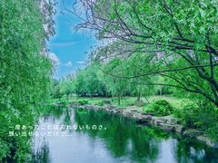 -上海滨江森林公园