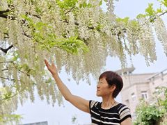 -嘉定紫藤园