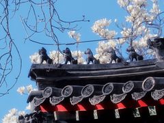 -北京艺术博物馆(万寿寺)
