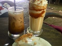 -Fern Forest Cafe