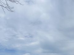 -Takapuna Beach Cafe