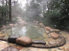 -天目湖涵田半山温泉