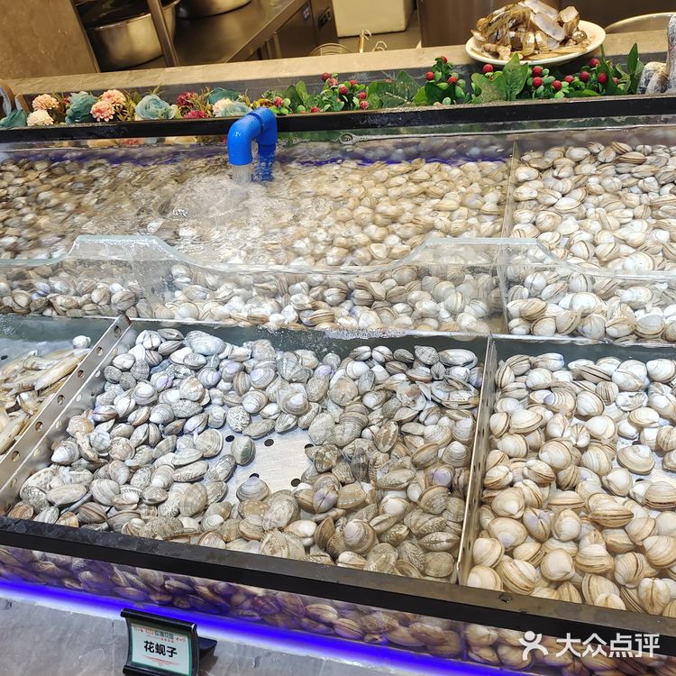 玫瑰花园自助烤肉打卡～