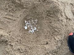 -汕头中海黄金海岸水上乐园