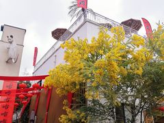 -三圣花乡旅游区