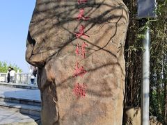 -上海佘山国家森林公园天马山园