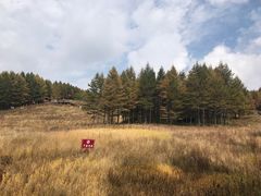 -驼梁风景区