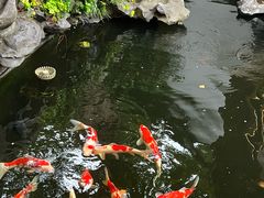 -鲤院·新中式美学·庭院餐厅(夫子庙店)