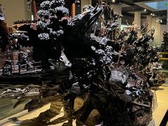 -乐山乌木文化博览苑