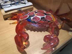 -眼镜直通车(体育东店)