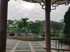 -大屏嶂森林公园