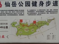 -仙岳公园