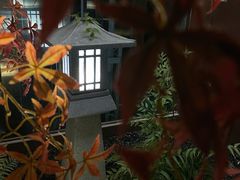 -椿杨樘·明康泡浴养生馆(重庆店)