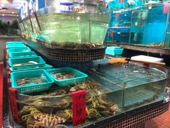 水产区-海大大蒸汽海鲜餐厅·粤菜·特色小炒(欢乐颂店)
