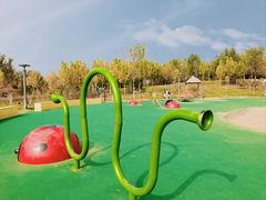 -瀛海足球主题公园